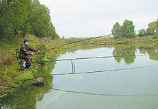 Где найти трофейного карпа