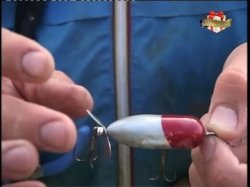 Ловля на пропбейт