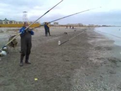 Ловим рыбу на отдыхе: Кефаль