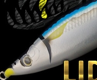 Anglers Republic Zet Z Liddell 175 F