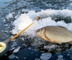 Зимняя рыбалка, когда нет льда