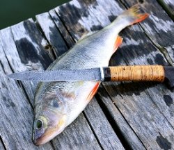 Рыболовное снаряжение: выбираем нож