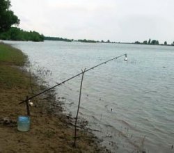 Секреты успешной ловли рыбы на донку