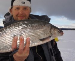 Шведская рыбалка