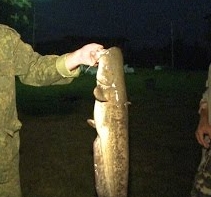 Ночная рыбалка на сома