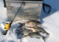 Секрет удачной рыбалки зимой