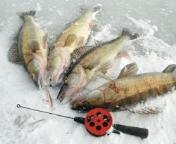 Рыбалка в феврале