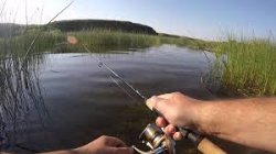 Рыбалка на реке Тобол