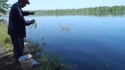 Рыбалка на реке Вятка 