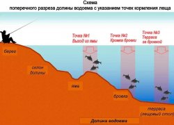 Как выбрать место для рыбалки?