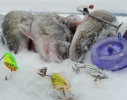 Зимняя рыбалка. Несколько способов зимней ловли разных видов рыб