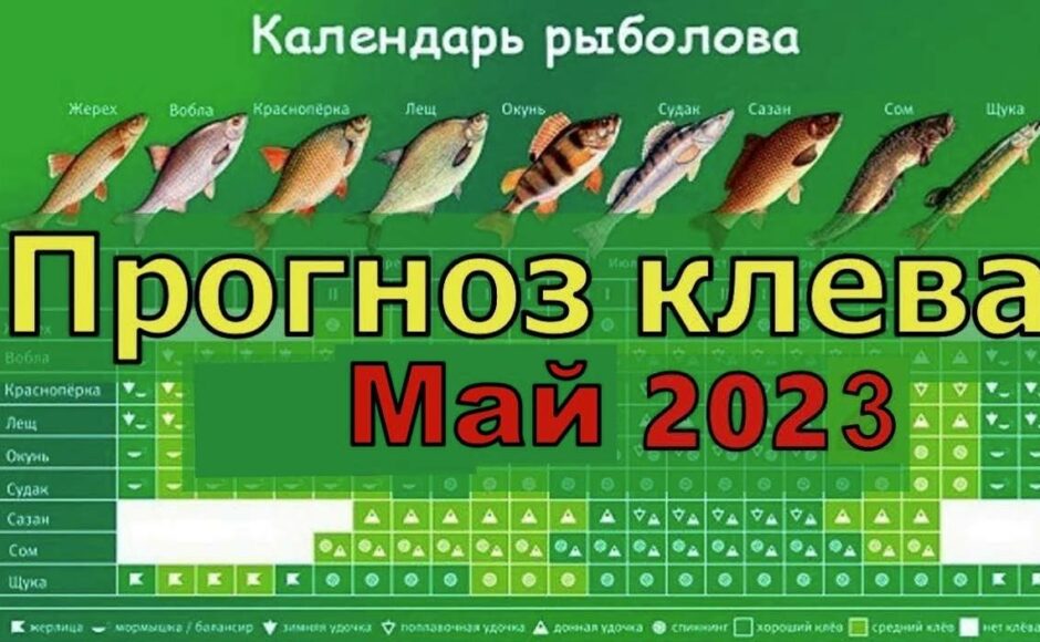 Прогноз клева рыбы на озере удомля в июне 2023 года
