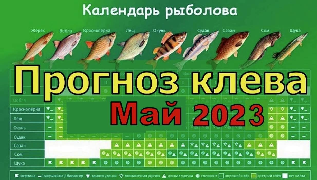 Прогноз клева рыбы на озере удомля в июне 2023 года