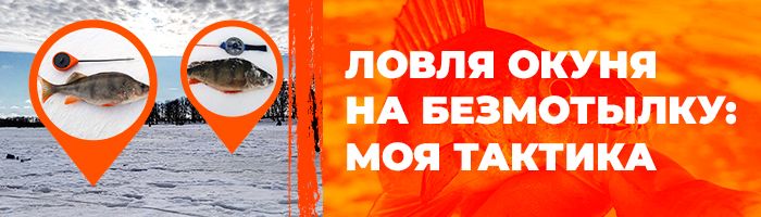 Зимняя ловля окуня на безмотылку