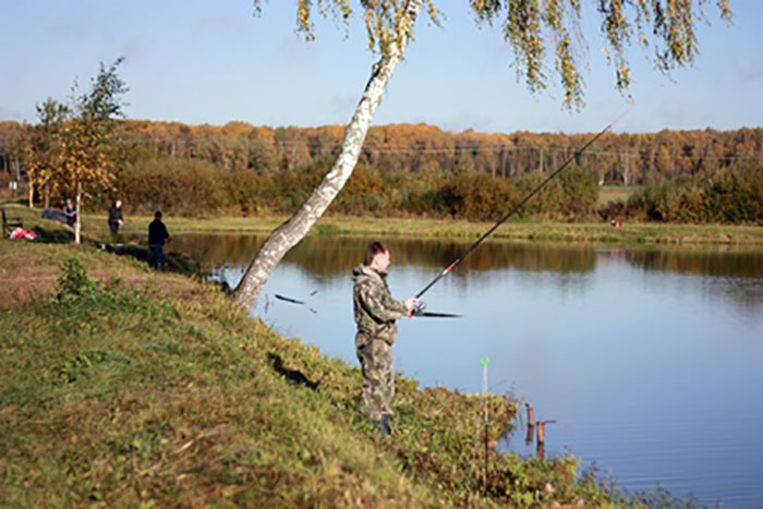 Клев в чехове