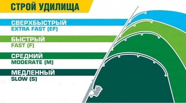 Строй спиннинга, что это: быстрый, средне быстрый и другие его виды