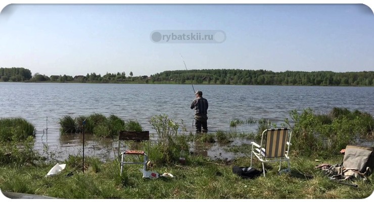 Рыбалка на реке Проня: виды рыбы и сезоны ловли