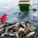 Рыбалка на Волге, видео отчеты 2022 года, рыболовные места на карте, ловля зимой и летом, фото с берега